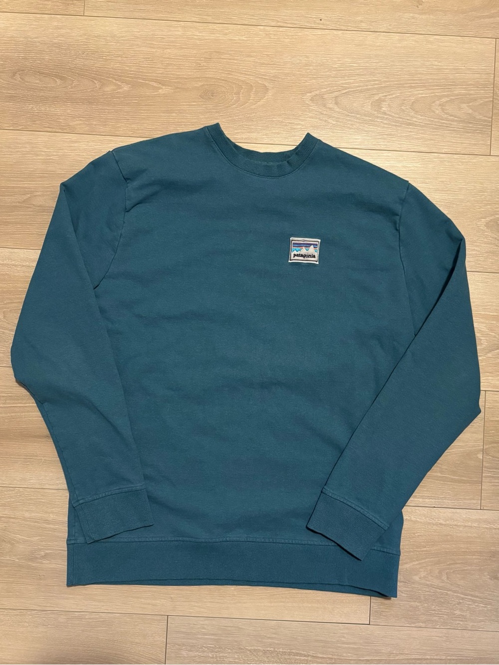 Patagonia Daily Crewneck